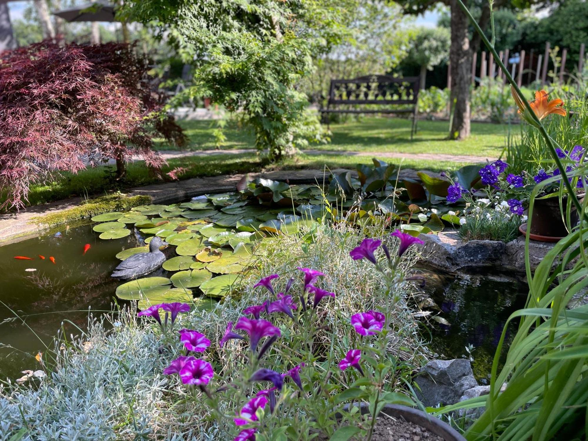 Green Oasis Garden เซนซูร์ ภายนอก รูปภาพ