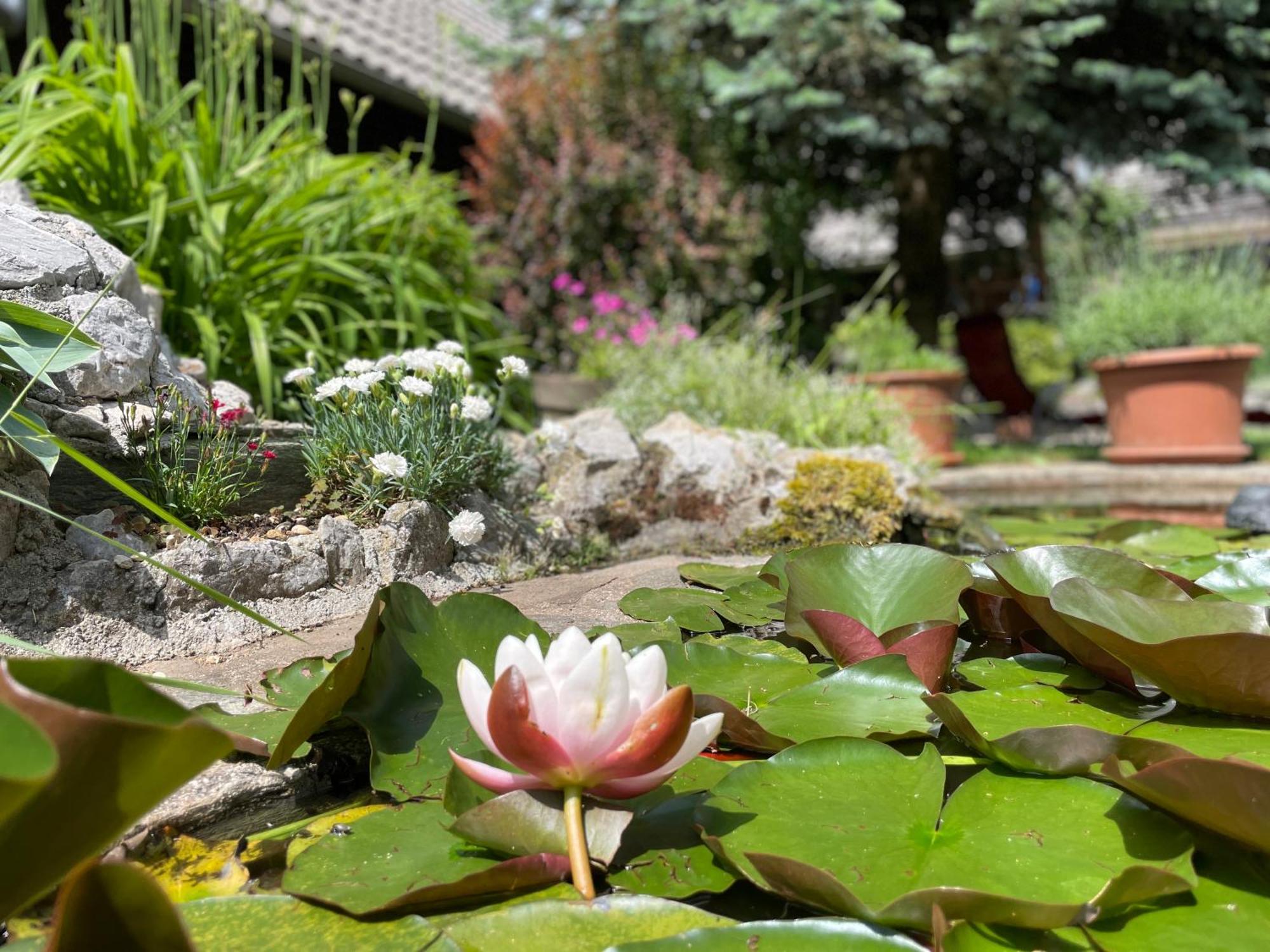 Green Oasis Garden เซนซูร์ ภายนอก รูปภาพ