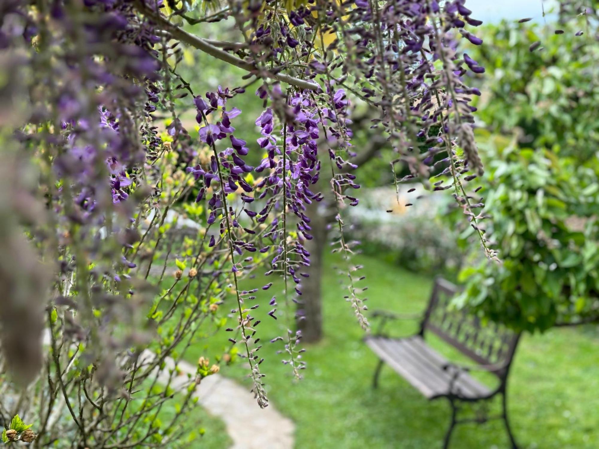 Green Oasis Garden เซนซูร์ ภายนอก รูปภาพ